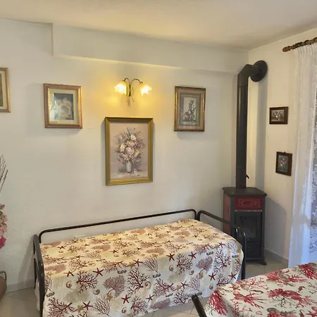 Rose Daire San Teodoro (Sardinia)