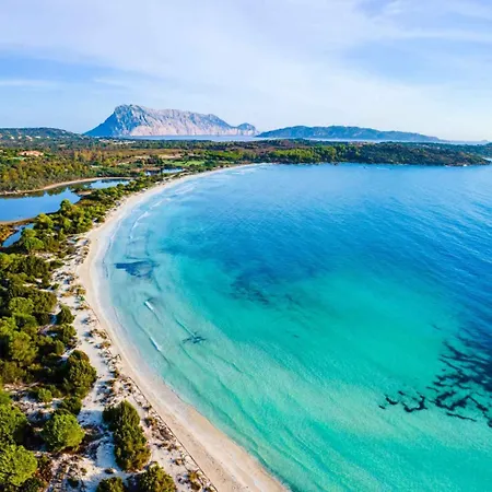 Rose San Teodoro (Sardinia)